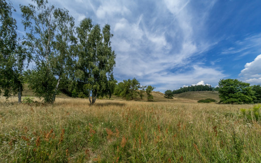 1400753 (a): :2048x1280